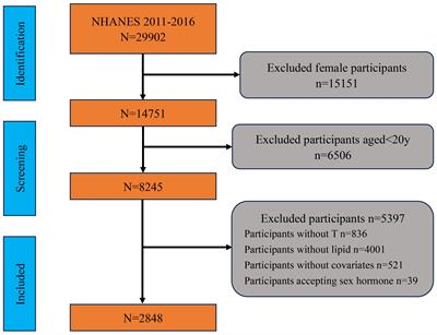 The relationship between remnant cholesterol and the risk of testosterone deficiency in US adults: a cross-sectional study based on the NHANES database